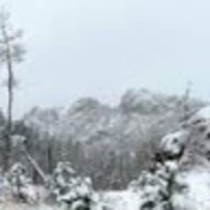 Meet your Posher, Mauraide